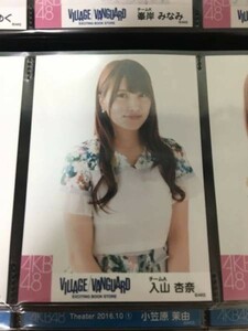 AKB48 ヴィレッジヴァンガード 限定 生写真 入山杏奈