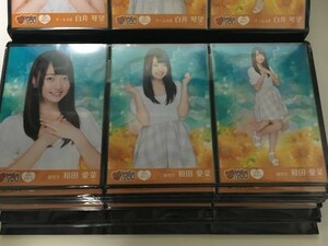 SKE48 Passion For You 第10弾 ミニポス 生写真 和田愛菜 3種