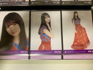  Nogizaka 46 movie Documentary Of Nogizaka IImbichike front sale life photograph . wistaria . bird 3 kind comp 