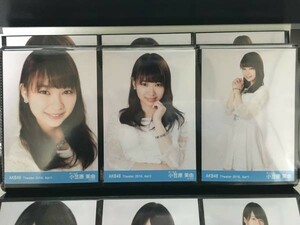 AKB48 月別 生写真 2016 April 4月 小笠原茉由 3種コンプ