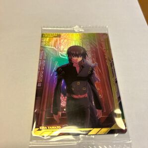 イタジャガ ガンダム ビジュアルアートコレクション UR キラ・ヤマト