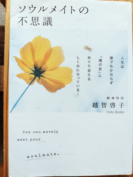 ソウルメイトの不思議 人生は誰でもかならず「魂の友」にめぐり会えるしくみになっている! 越智啓子