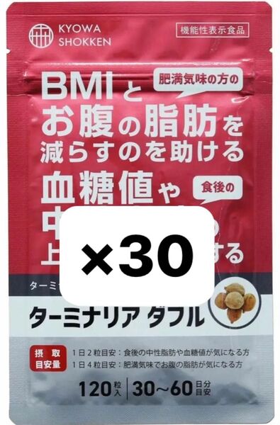 【新品未開封】ターミナリア ダブル 協和食研 120粒入×30袋 KYOWA SHOKKEN