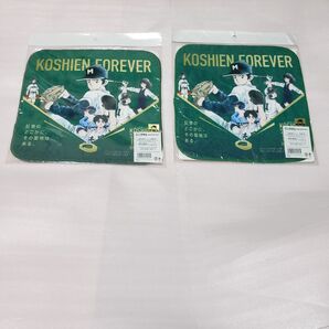 お値下げ 数量増加可能、 2枚 甲子園 100周年 タッチ・H2・MIX ミニタオル タオル