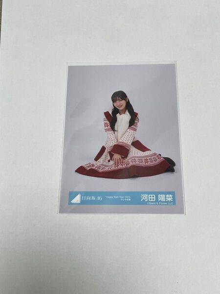 日向坂46 生写真 河田陽菜 座り