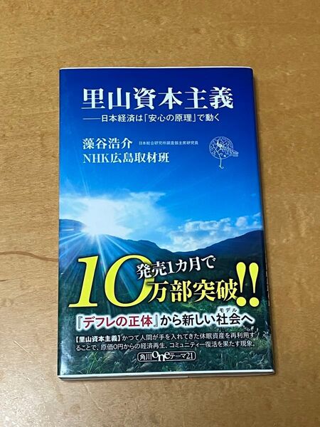 里山資本主義 日本経済は安心の原理で動く ビジネス書
