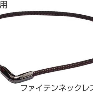 ファイテン ブラック Lサイズ phiten ネックレス RAKUWAネックX50 Vタイプ スポーツ 肩こり 腰痛 ランニング