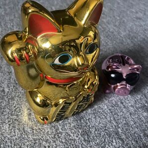 招き猫 貯金箱 、ブタ貯金箱 セット