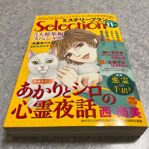 レディースコミック ミステリーブランセレクション11月号