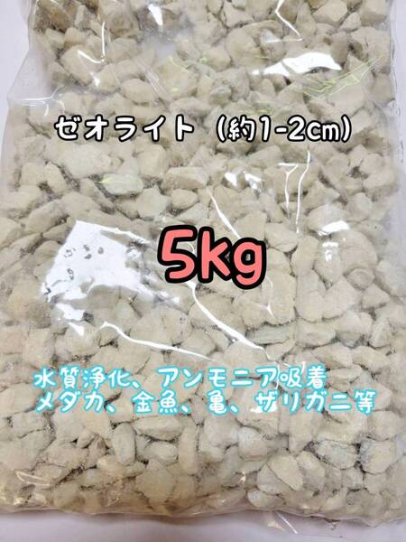 水質浄化 約1-2cm ゼオライト5kg アクアリウム メダカ 金魚 亀 ザリガニ アンモニア吸着 錦鯉 ベタ グッピー
