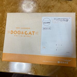 2025年 2024年 卓上カレンダー 住友生命 子いぬ・子ねこ