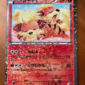 ガーディ U SC_004/020 BW コンセプトパック シャイニーコレクション ポケキュン