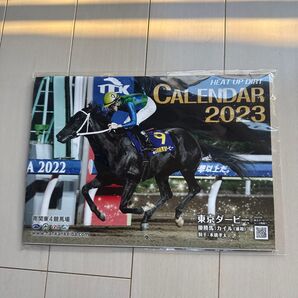 東京ダービー カレンダー 2023 競馬