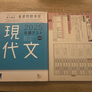 共通テスト対策 実力養成 重要問題演習 現代文