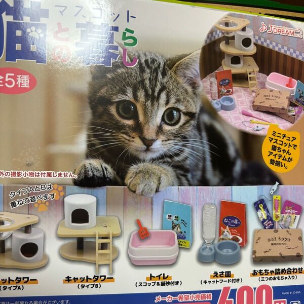 猫との暮らしマスコット 全5種♪ガチャガチャミニチュア