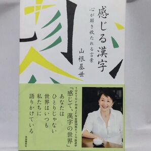感じる漢字 山根基世