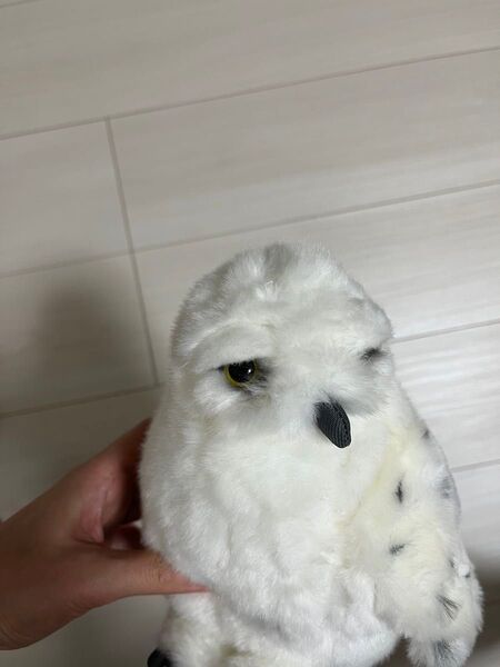 フクロウ ぬいぐるみ