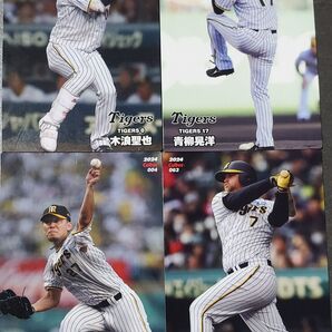 2024カルビープロ野球カード阪神タイガース4枚