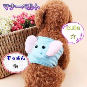 かわいいぞうさんマナーベルト