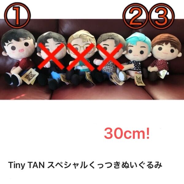 タイニータン スペシャルくっつきぬいぐるみ Tiny TAN BTS 韓国アイドル プライズ