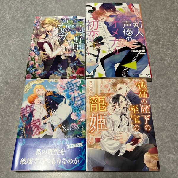 BL 小説 セット 2冊650円〜