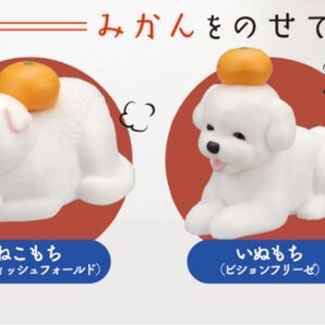 もちにまる そのに ガチャ
