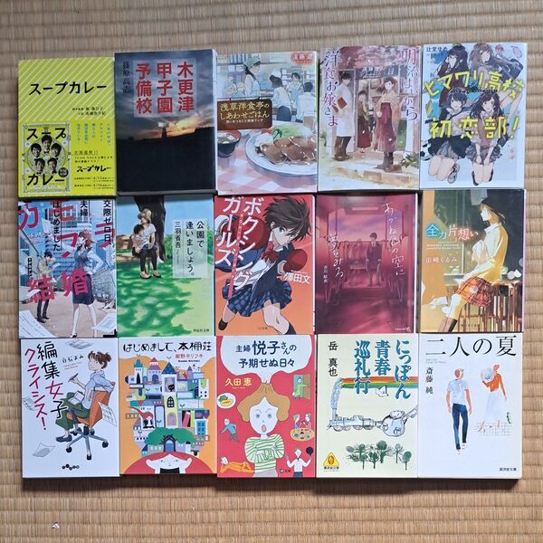 文庫本 1冊500円2冊900円3冊1300円4冊1700円