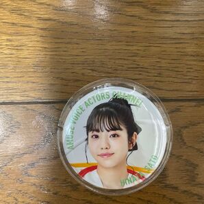 佐藤日向 缶バッジ 声優