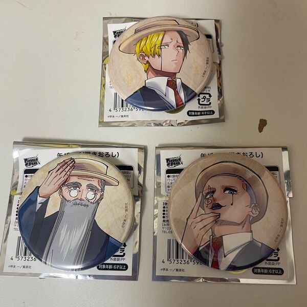 MASHLE PARK マッシュル マッシュルパーク 書きおろし缶バッジ レイン