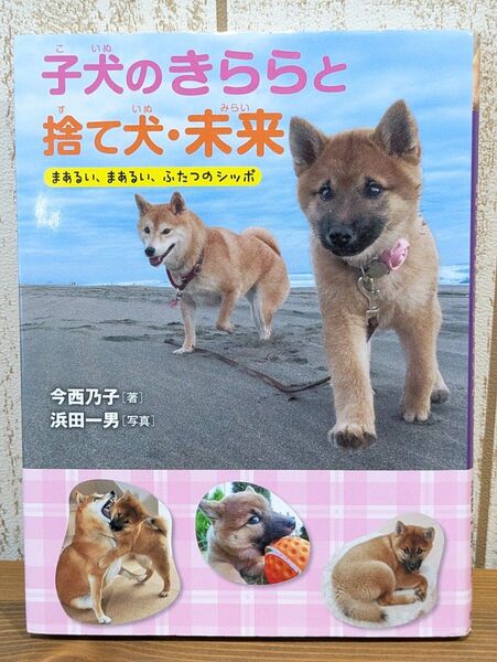 子犬のきららと捨て犬・未来 今西乃子/著 単行本ハードカバー