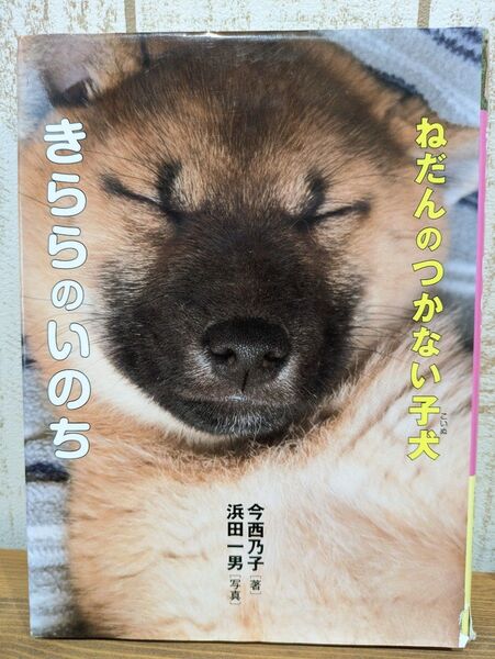 ねだんのつかない子犬 きららのいのち 今西乃子/著 単行本ハードカバー 岩崎書店