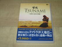 セルDVD■TSUNAMI　津波■ティム・ロス　キウェテル・イジョフォー　ソフィー・オコネド　トニ・コレット　_画像1