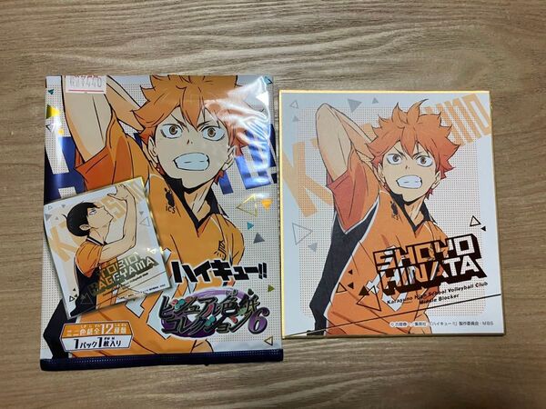 ハイキュー!! ビジュアル色紙コレクション6 日向翔陽