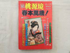 0027284 桃源堺 No.114 春本万歳！ 平成5年1月