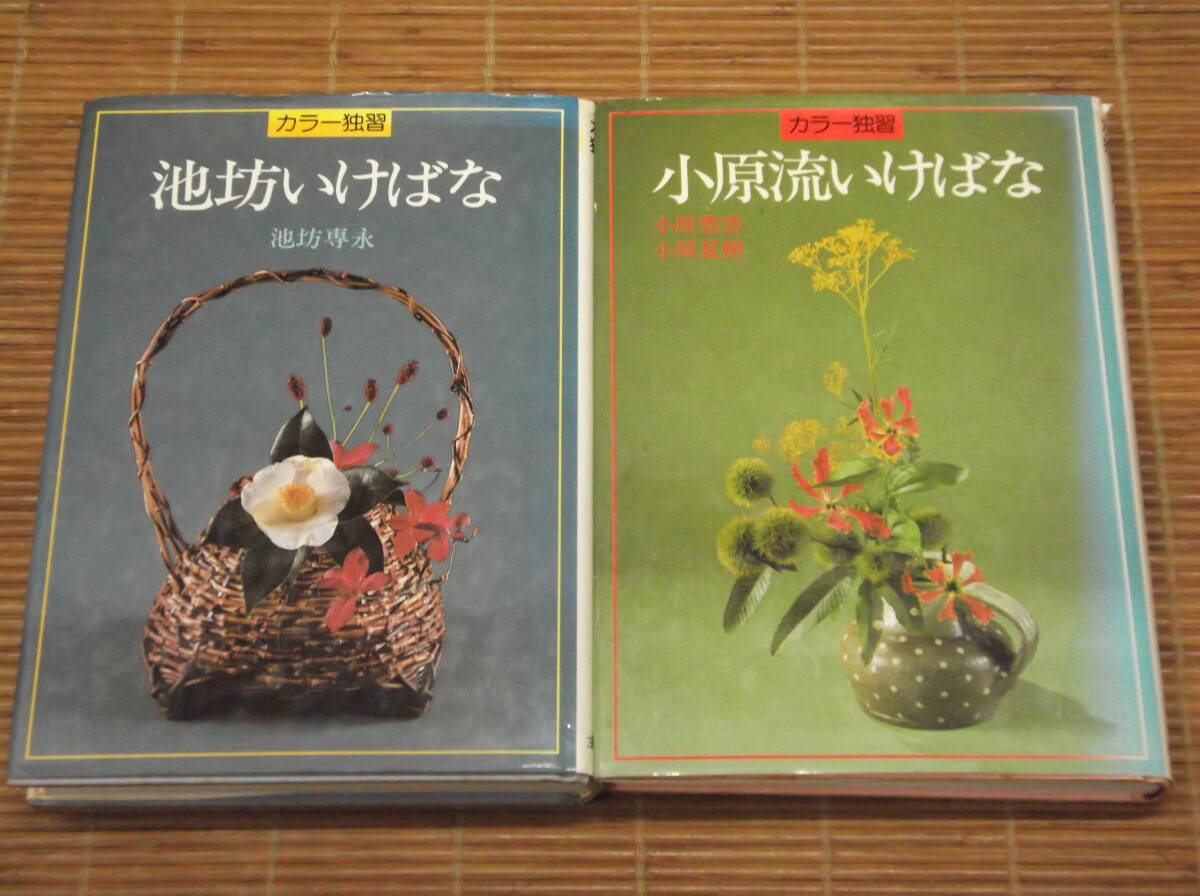 2025年最新】Yahoo!オークション -小原豊雲の中古品・新品・未 2025年最新】Yahoo!オークション -小原豊雲の中古品・新品・未