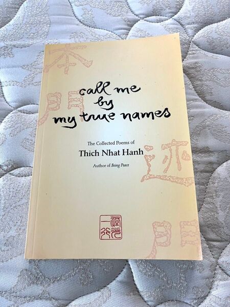 call me by my true names Thich Nhat Hanh