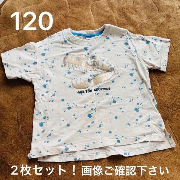 120cm恐竜柄 半袖2枚セット Tシャツ