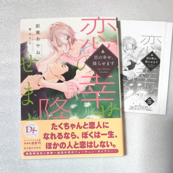 恋の幸せ、降らせます (新書館ディアプラス文庫 597) 彩東あやね/著