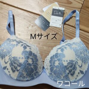 ブルーパープル ブラジャー ワコール シンクロブラ ノンワイヤー