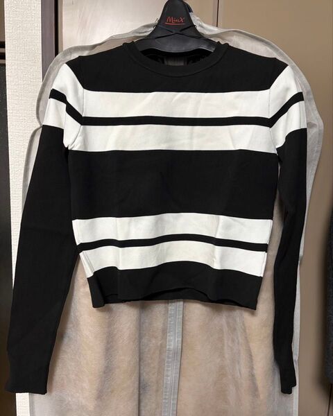 ZARA 長袖ニット ストライプ ショート丈 S