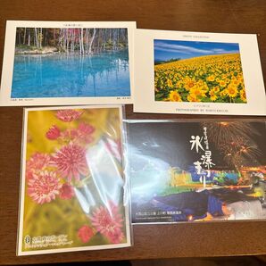 ポストカード 北海道 美瑛