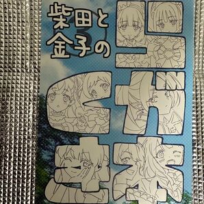 C105 コミケ コミックマーケット 柴田と金子のらくがき本 金子美咲 アニメーター イラスト集 フリーレン