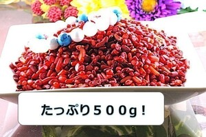 【送料無料】たっぷり 500g さざれ 小サイズ 赤珊瑚 サンゴ コーラル パワーストーン 天然石 ブレスレット 浄化用 さざれ石 チップ ※1