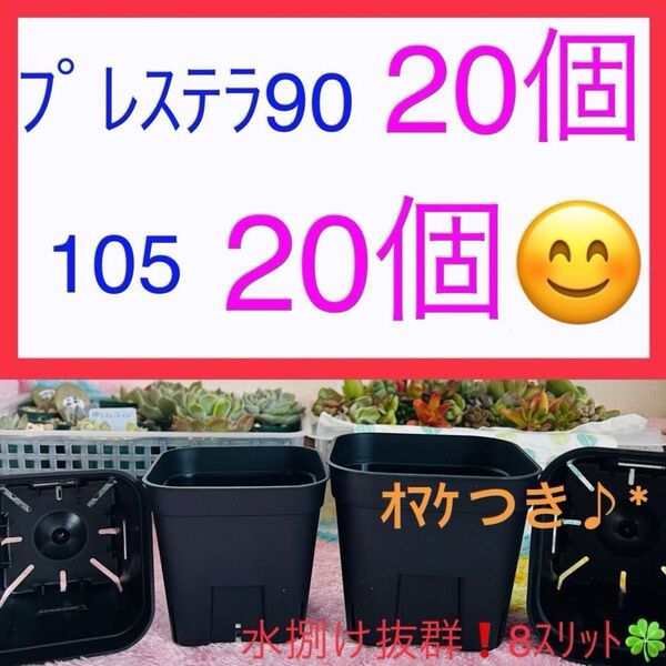 D①⑦ プレステラお得セット★ 【90サイズ20個】【105サイズ20個】