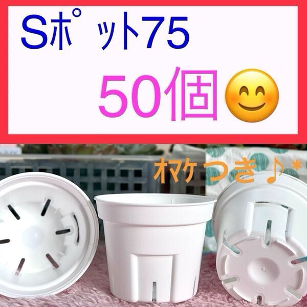 I⑩ ★Sポット丸型★ 白75サイズ50個セット♪