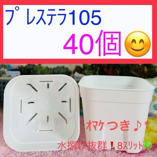E⑩【プレステラ105】ホワイト 40個セット★