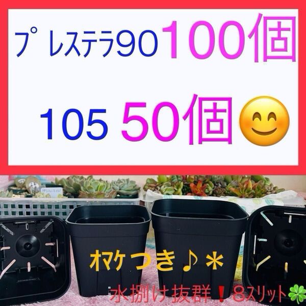 D②② プレステラお得セット★ 【90サイズ100個】【105サイズ50個】