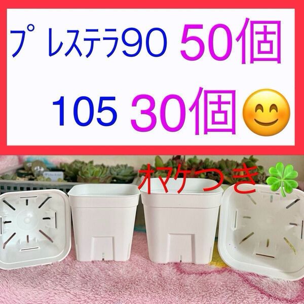 E②⑤ プレステラお得セット★ 【90サイズ50個】【105サイズ30個】