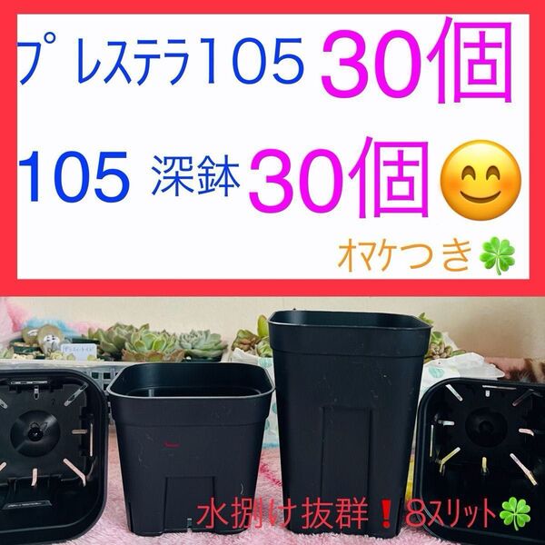 G①② プレステラお得セット★ 【105サイズ30個】【105深鉢30個】