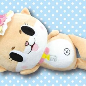 ちぃたん☆ ごろりとねころびBIGぬいぐるみ コツメカワウソの妖精 カメちゃん ゆるキャラ ジャンボ グッズ プライズ